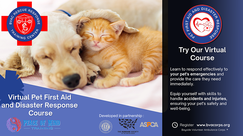 Virtual Pet First Aid & Disaster Response Course